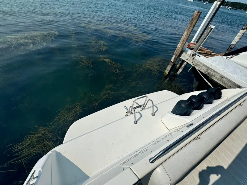 Slide: The Image of 1995 Sea Ray 370 Express Cruiser docked by clear water with visible aquatic plants. - 5
