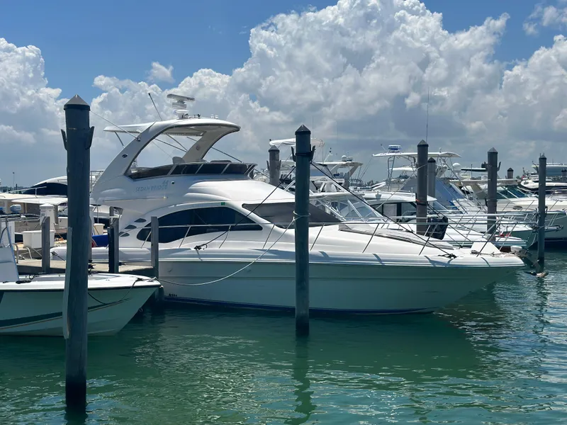 The Image of 2008 Sea Ray 44 Sedan Bridge yacht docked in a sunny marina. - 0