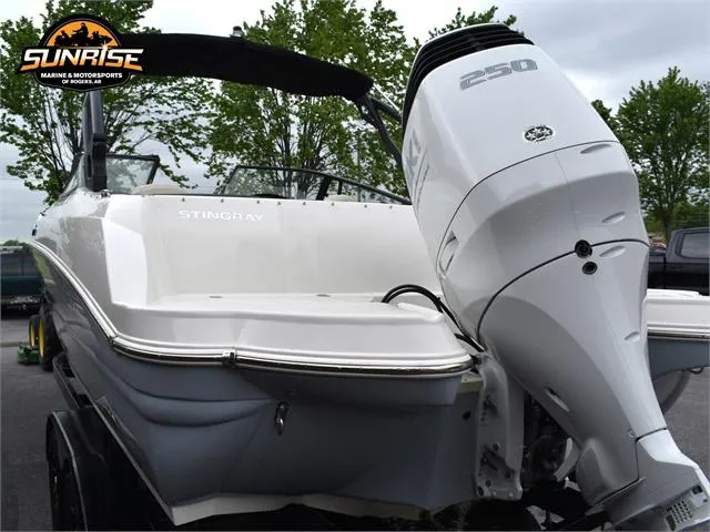 Slide: The Image of Stingray 231DC 2023 - 6