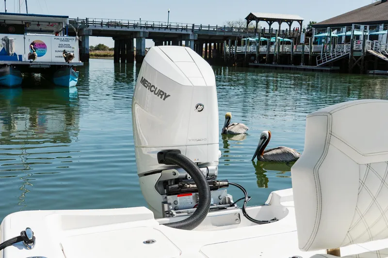 Slide: The Image of 2024 Blackwater 23 Hybrid boat with Mercury engine, docked near pelicans and a bridge. - 11