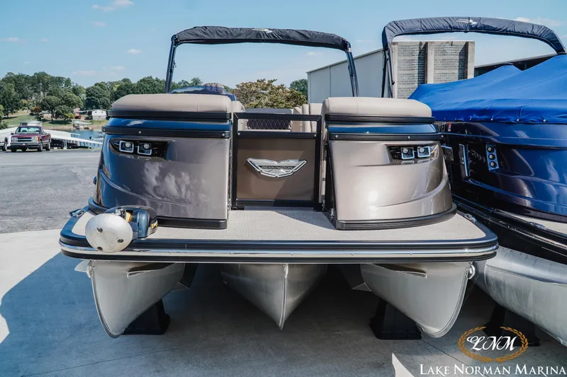 Slide: The Image of Bennington 25QSBIO 2024 - 3