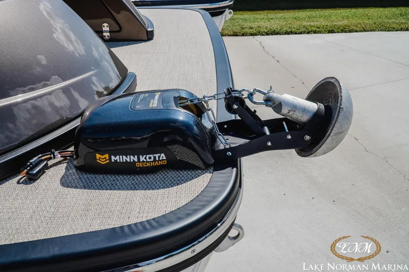 Slide: The Image of Bennington 25QSBIO 2024 - 4