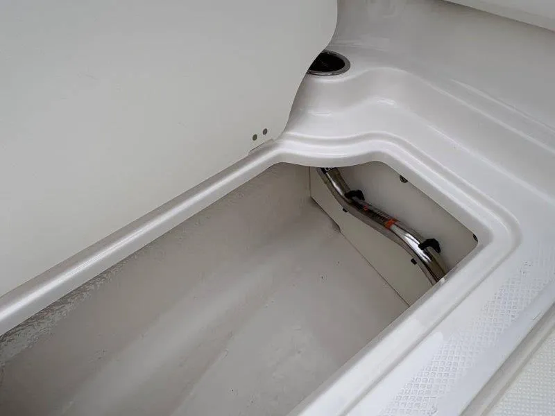 Slide: The Image of Chaparral 21 SSi Ski & Fish 2025 - 53