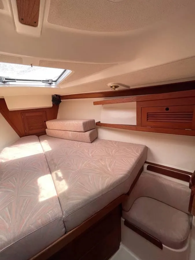 Slide: The Image of Tartan 372 1992 - 21