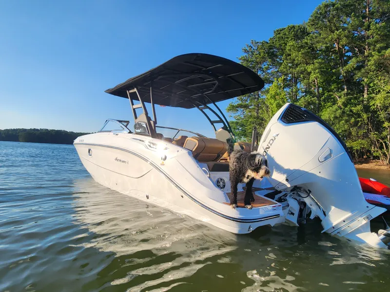 Slide: The Image of 2024 Hurricane SunDeck 2600 OB boat on lake with dog, sunny day, forest background. - 7