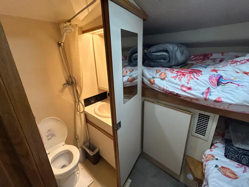 Slide: The Image of 1988 Bertram 43 Convertible cabin with bunk beds and compact bathroom. - 14