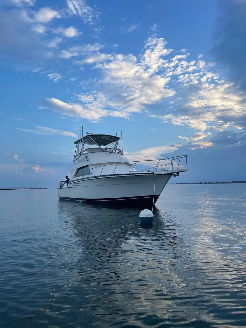 Slide: The Image of 1988 Bertram 43 Convertible yacht on calm water under a blue sky. - 3