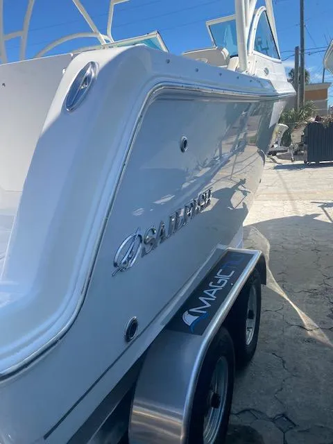 Slide: The Image of 2025 Sailfish 245 DC boat on trailer, sunny day. - 10