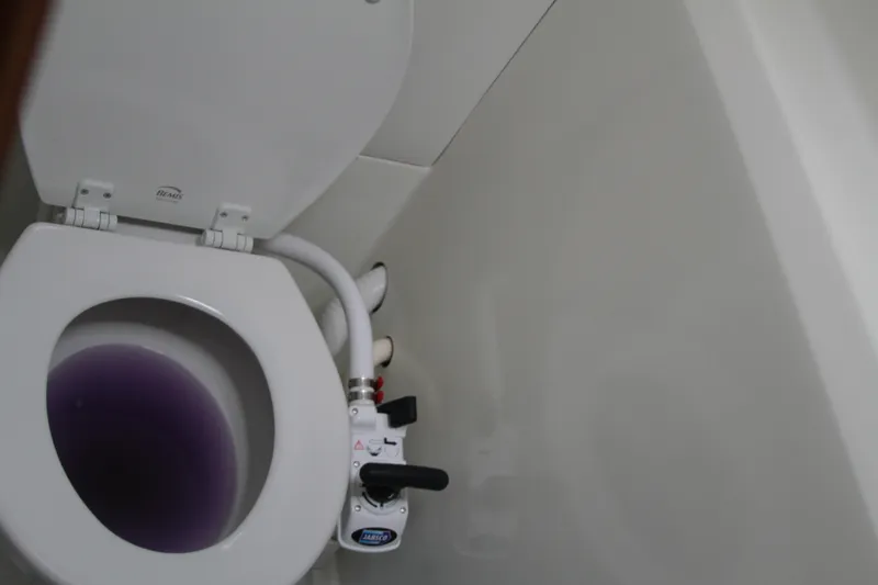 Slide: The Image of Marine toilet with purple water in a 2004 Lagoon 380 catamaran bathroom. - 44