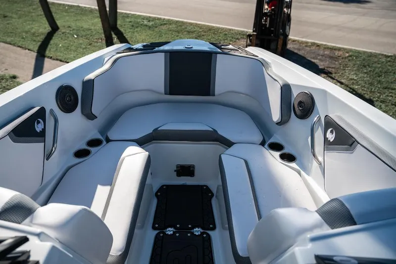 Slide: The Image of Scarab 255 ID 2023 - 10