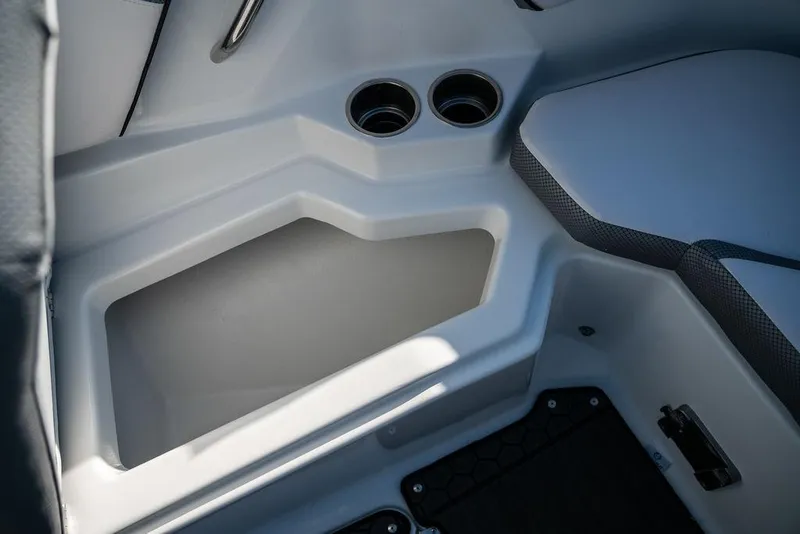 Slide: The Image of Scarab 255 ID 2023 - 11