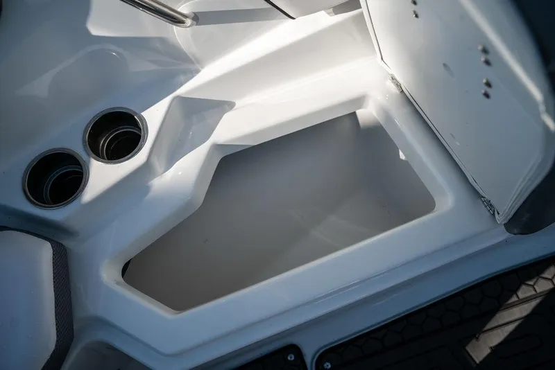 Slide: The Image of Scarab 255 ID 2023 - 12