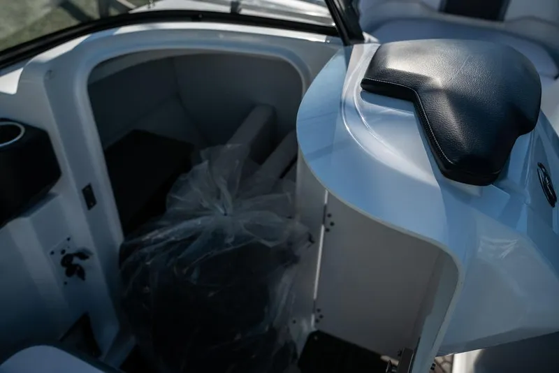 Slide: The Image of Scarab 255 ID 2023 - 9