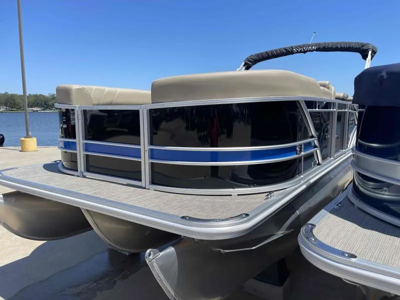 Slide: The Image of Sylvan Mirage 8524 LZ 2024 - 4