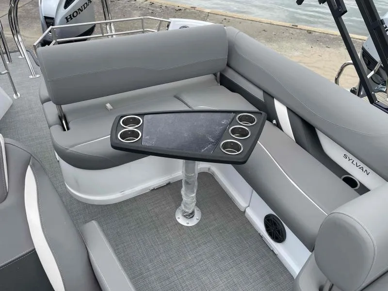 Slide: The Image of Sylvan S-3 CLZ 2024 - 12