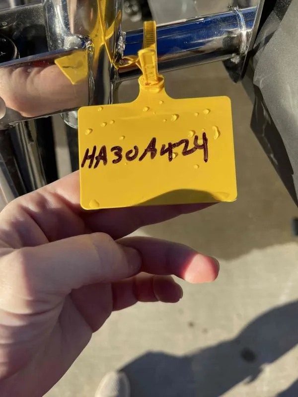 Slide: The Image of Harris SOLSTICE 230 2024 - 19