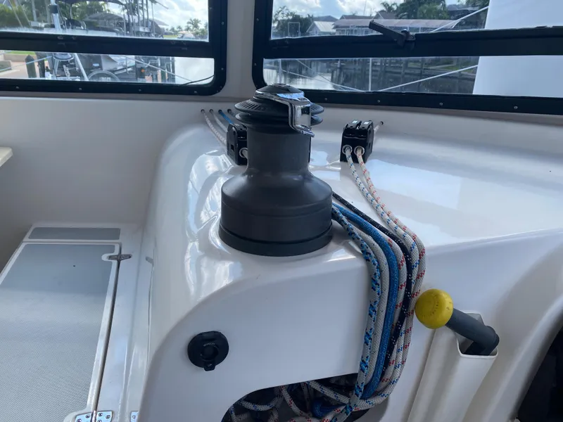 Slide: The Image of Maine Cat Maine Cat 41 2016 - 16