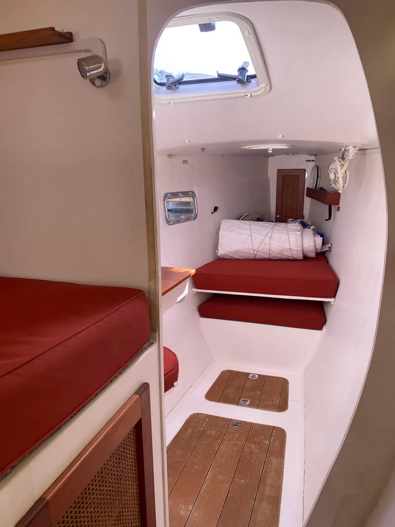 Slide: The Image of Maine Cat Maine Cat 41 2016 - 19