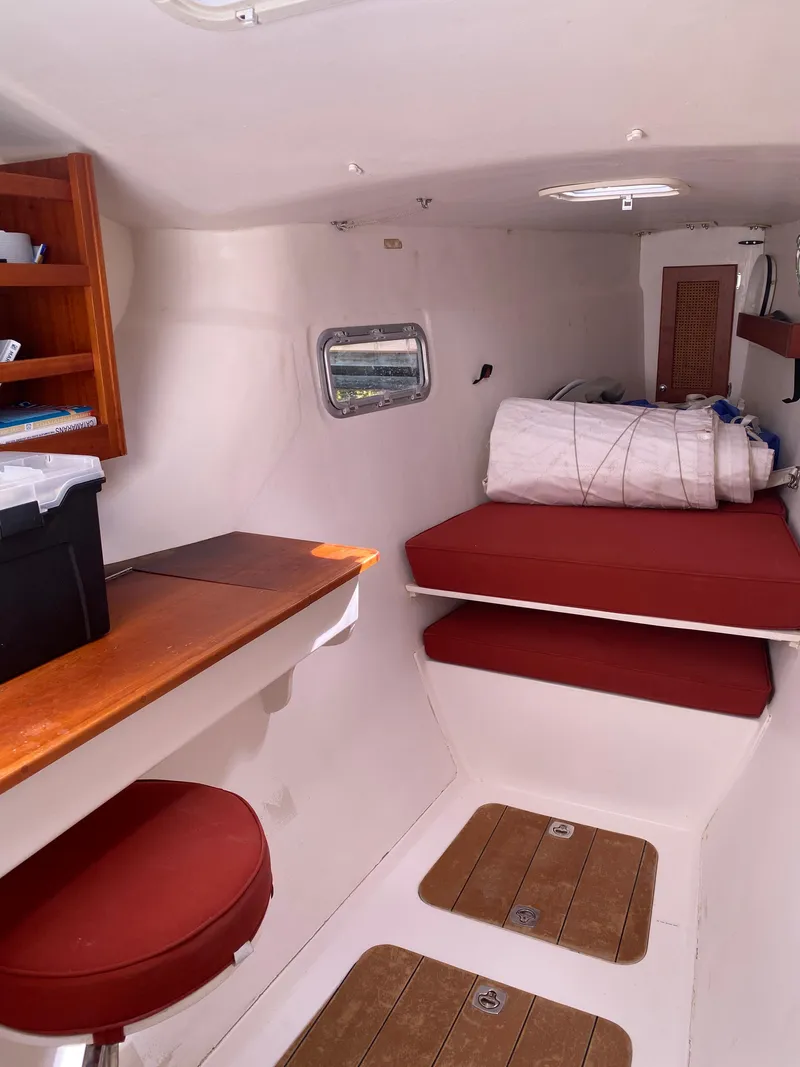 Slide: The Image of Maine Cat Maine Cat 41 2016 - 20