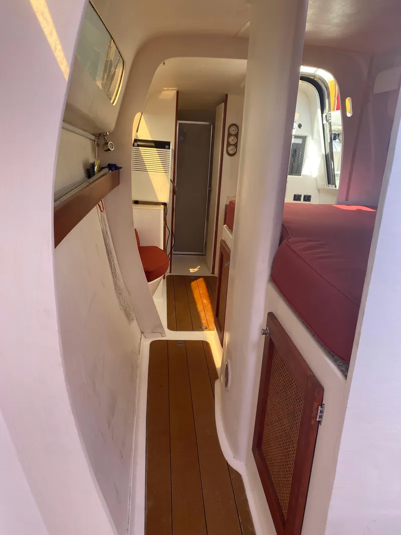 Slide: The Image of Maine Cat Maine Cat 41 2016 - 22