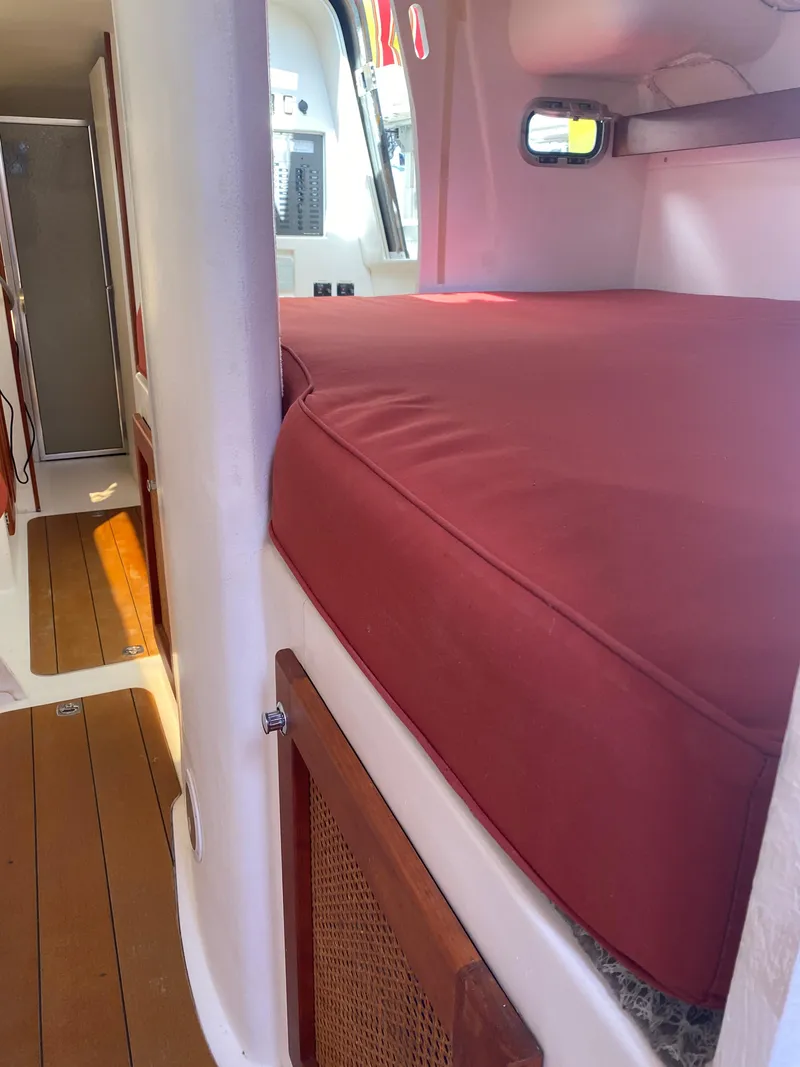 Slide: The Image of Maine Cat Maine Cat 41 2016 - 23