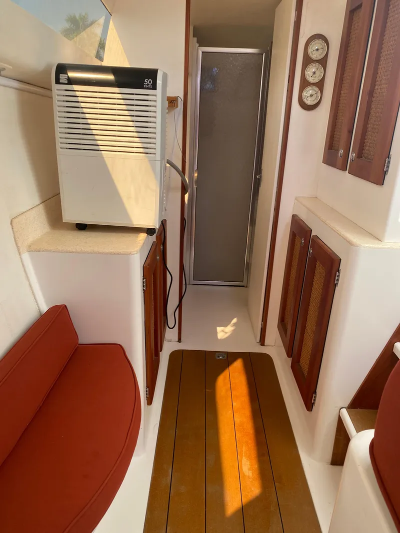 Slide: The Image of Maine Cat Maine Cat 41 2016 - 24