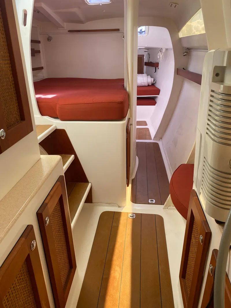 Slide: The Image of Maine Cat Maine Cat 41 2016 - 27