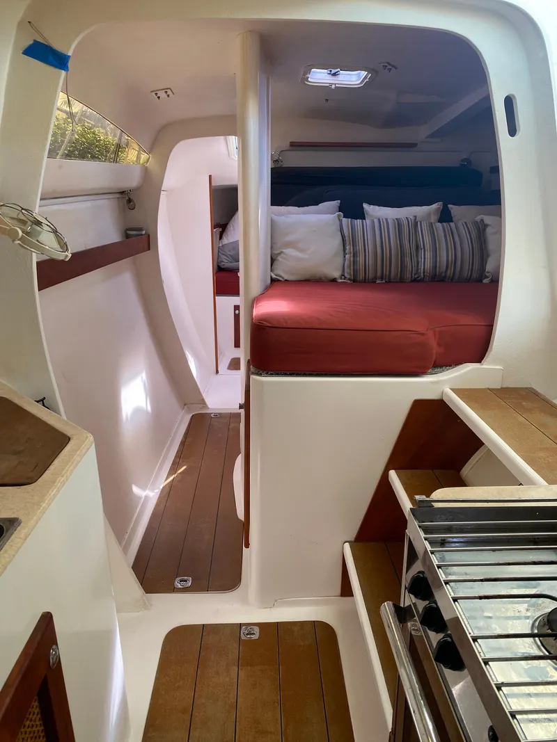 Slide: The Image of Maine Cat Maine Cat 41 2016 - 28