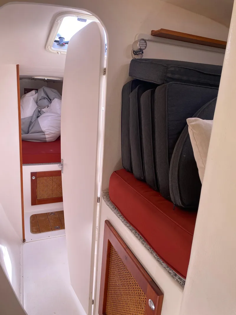 Slide: The Image of Maine Cat Maine Cat 41 2016 - 29