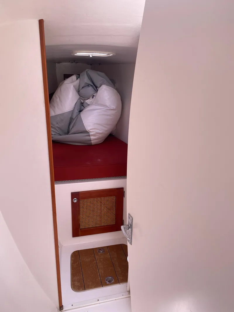 Slide: The Image of Maine Cat Maine Cat 41 2016 - 30