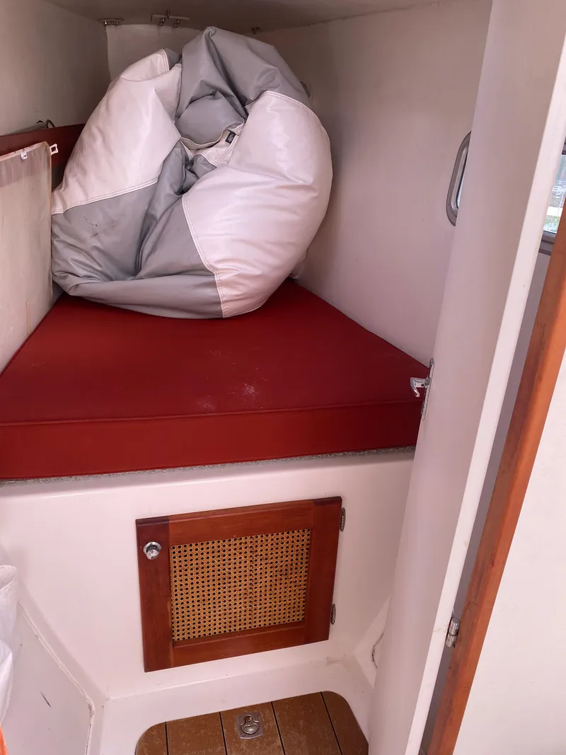 Slide: The Image of Maine Cat Maine Cat 41 2016 - 31