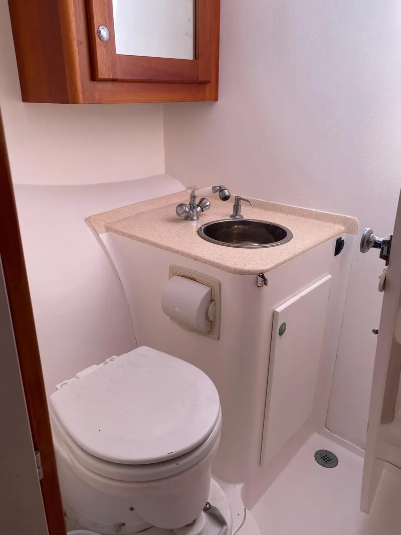 Slide: The Image of Maine Cat Maine Cat 41 2016 - 33