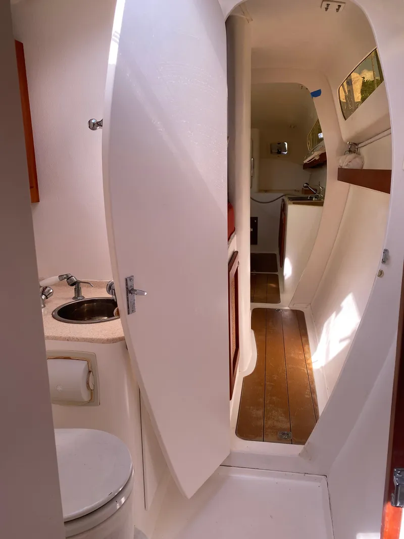 Slide: The Image of Maine Cat Maine Cat 41 2016 - 34