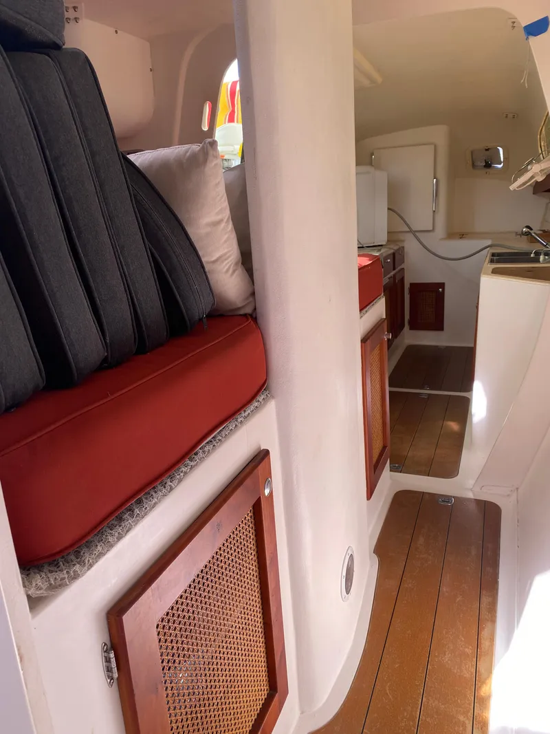 Slide: The Image of Maine Cat Maine Cat 41 2016 - 35