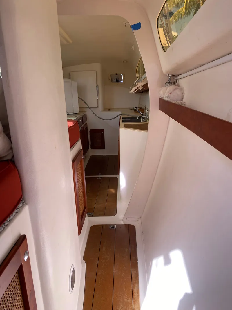 Slide: The Image of Maine Cat Maine Cat 41 2016 - 36