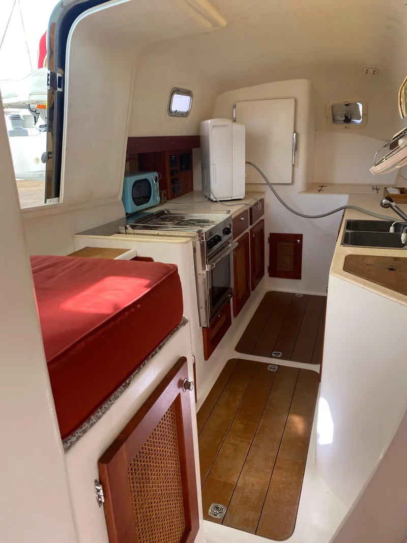 Slide: The Image of Maine Cat Maine Cat 41 2016 - 37