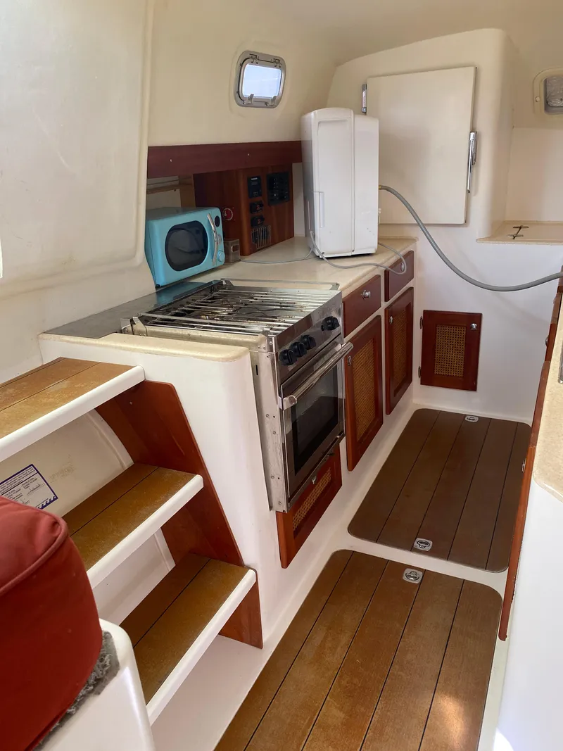 Slide: The Image of Maine Cat Maine Cat 41 2016 - 38