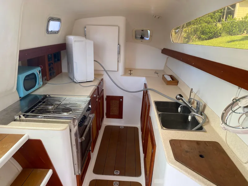 Slide: The Image of Maine Cat Maine Cat 41 2016 - 39