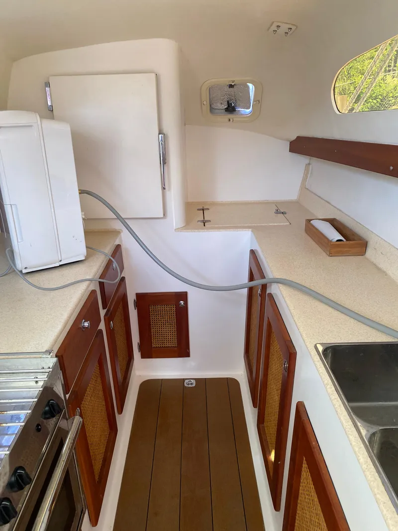 Slide: The Image of Maine Cat Maine Cat 41 2016 - 40