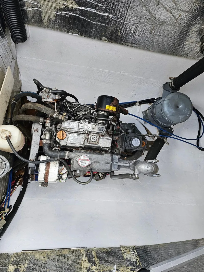 Slide: The Image of Maine Cat Maine Cat 41 2016 - 51