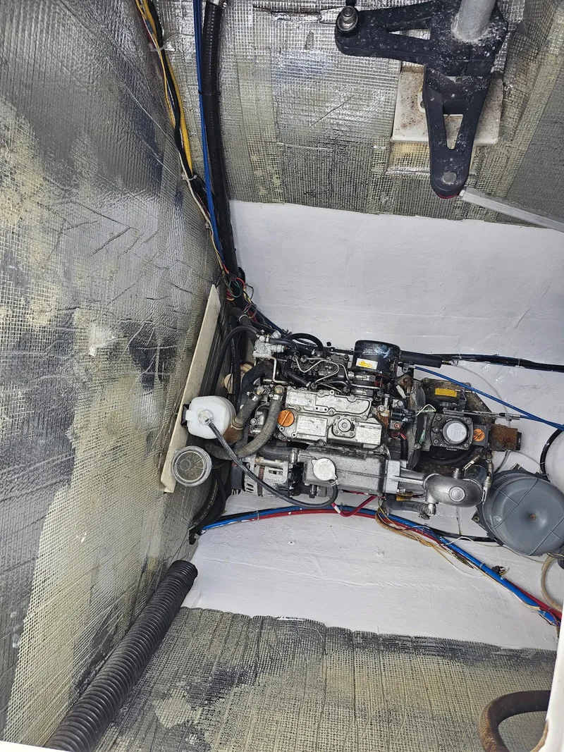 Slide: The Image of Maine Cat Maine Cat 41 2016 - 52