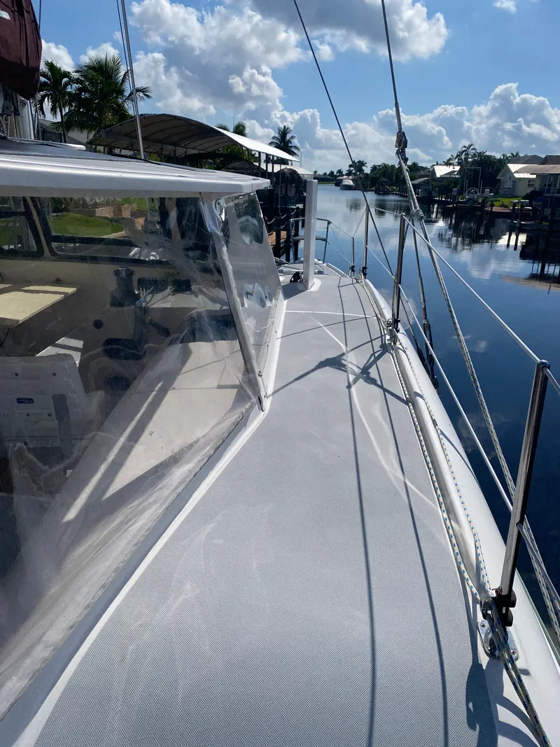 Slide: The Image of Maine Cat Maine Cat 41 2016 - 8