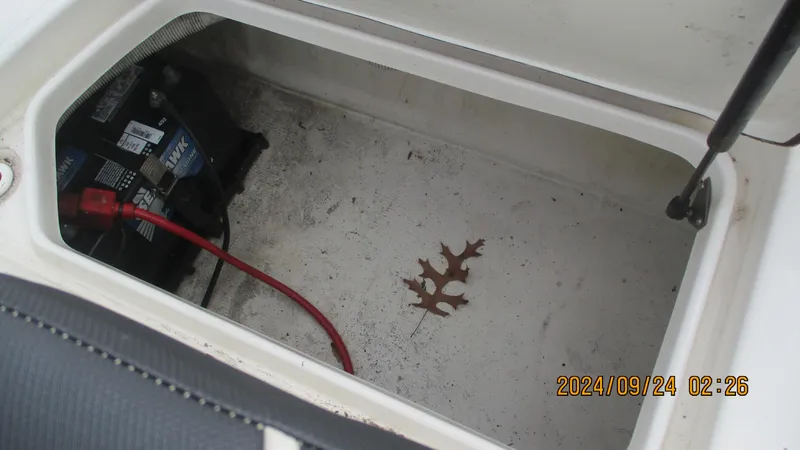 Slide: The Image of Battery compartment of 2016 Sea Ray 21SPX-OB boat with leaf and cables. - 15