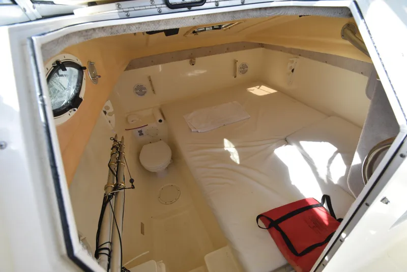 Slide: The Image of World Cat 270 EC 2003 - 4