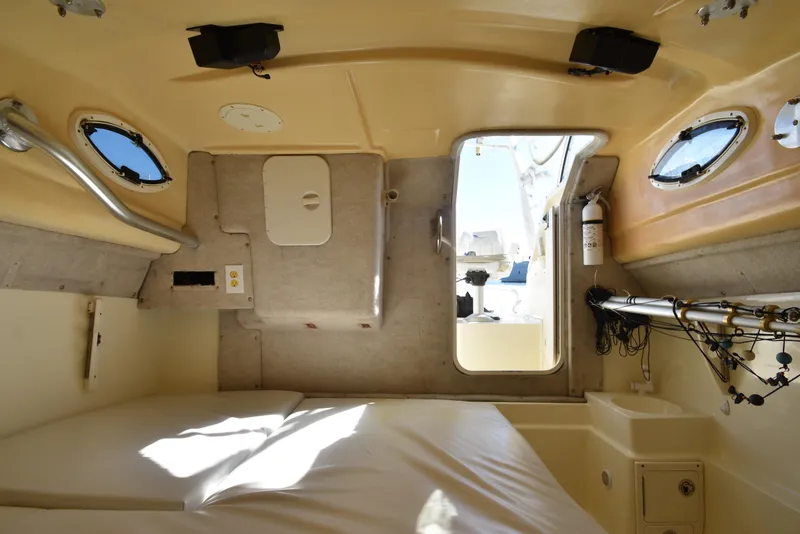 Slide: The Image of World Cat 270 EC 2003 - 5