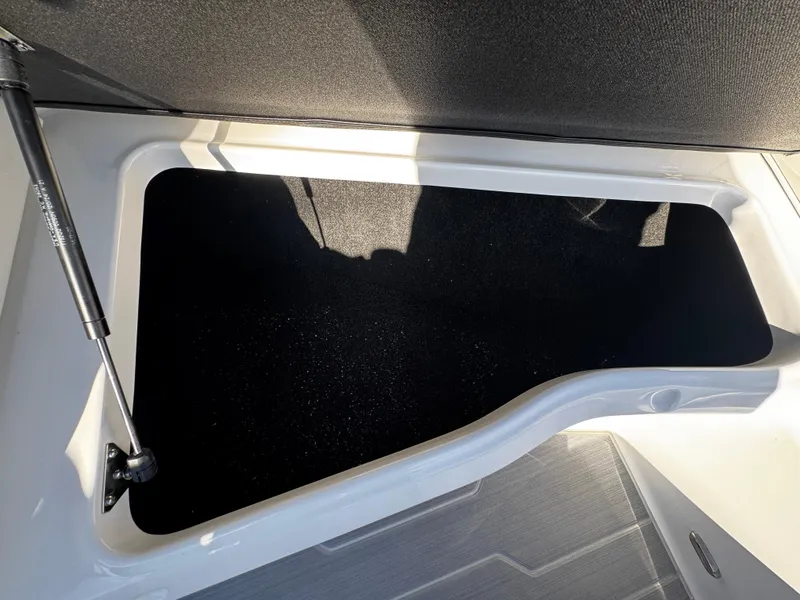Slide: The Image of 2025 Regal LS4 boat storage compartment with hydraulic lift support. - 37