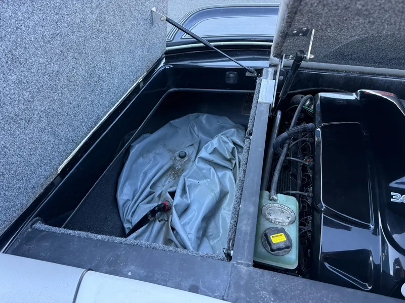 Slide: The Image of Sanger V215 XTZ 2016 - 14