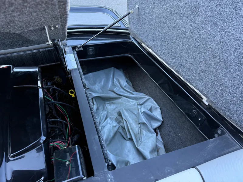 Slide: The Image of Sanger V215 XTZ 2016 - 15