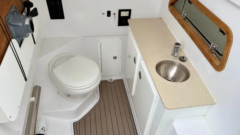 Slide: The Image of Full Head - 16