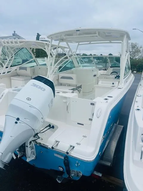 Slide: The Image of Sailfish 245 DC 2025 - 13